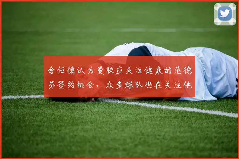 舍伍德认为曼联应关注健康的范德芬签约机会，众多球队也在关注他